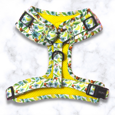 Adjustable Dog Harness: Tropical - Luscious Pup