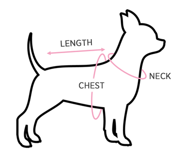 Reversible Dog Harness: Rainbow - Luscious Pup